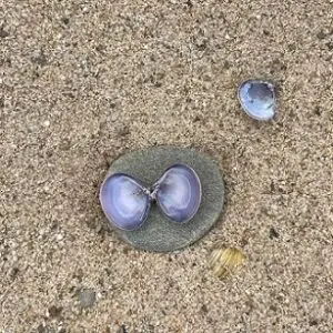 Visualisatie - 'Reis van je leven'